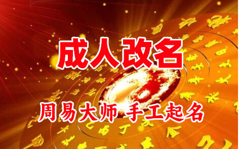 新疆成人改名-找大师一对一改名先分析后改名